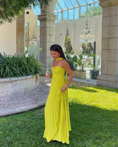 Amaris | Scarf Pleated Maxi Dress