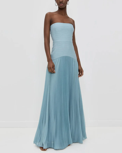 Solara | Pleated Strapless Maxi Dress